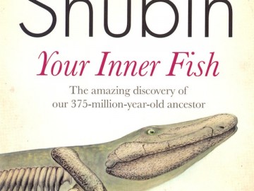 BAM Reels in Our “Inner Fish”!