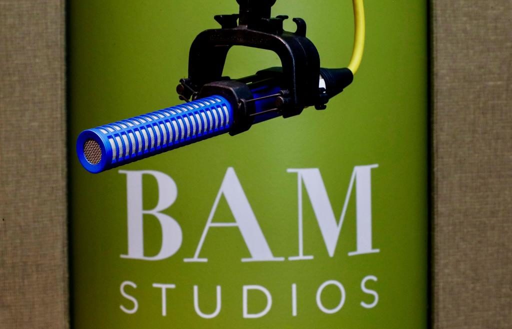 BAM ADR Microphone