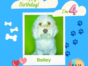It’s Bailey’s 4th Birthday Today!