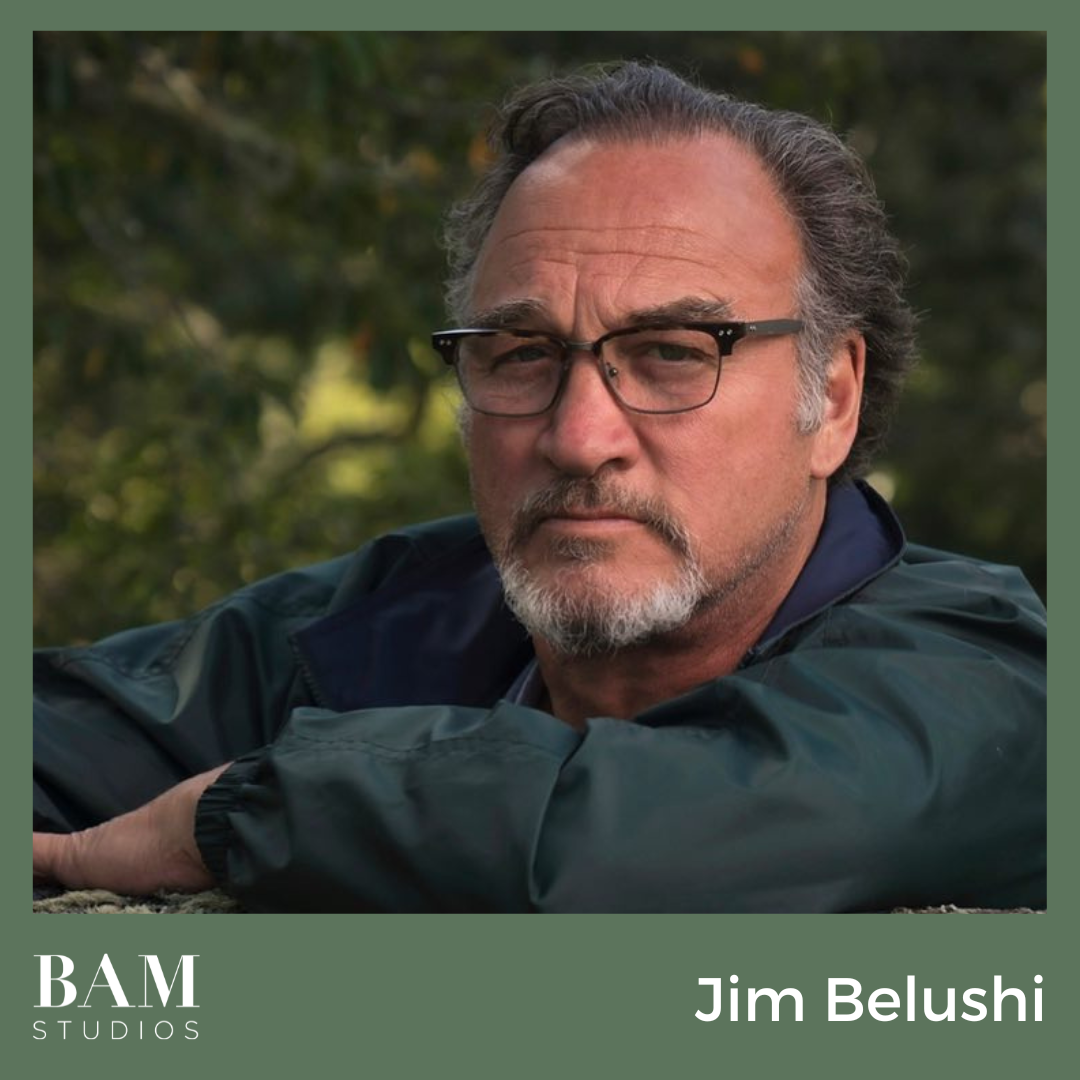 Chicago's Own Jim Belushi Returns to BAM! - BAM Studios, image size:1080x1080
