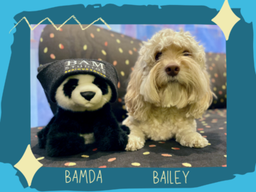BAMda and Bailey for Mental Health Awareness Month!