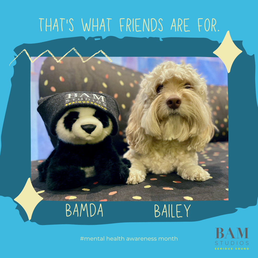BAMda and Bailey for Mental Health Awareness Month! BAM Studios
